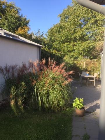 The Garden House Apartment Lund Exterior foto